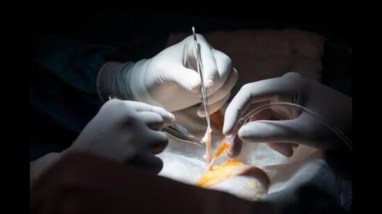 Kidney Racket