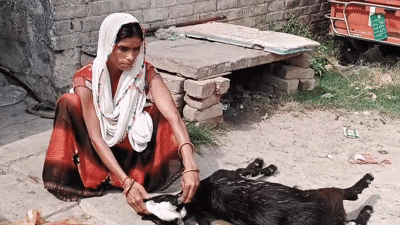 Goat Raped in Varanasi