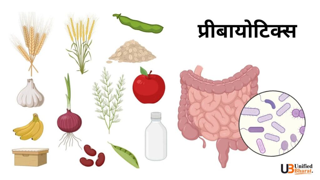 Prebiotics