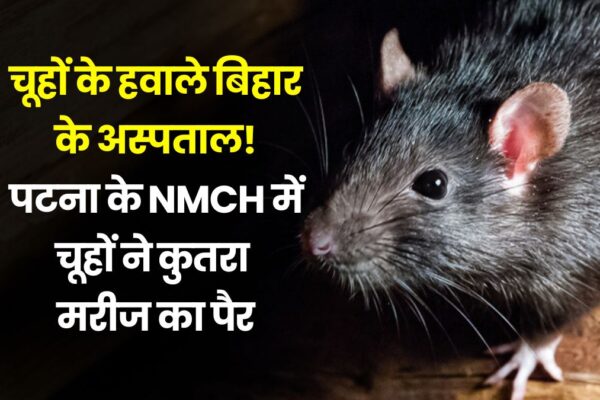 rat-bites-patient-in-nmch-patna-bihar