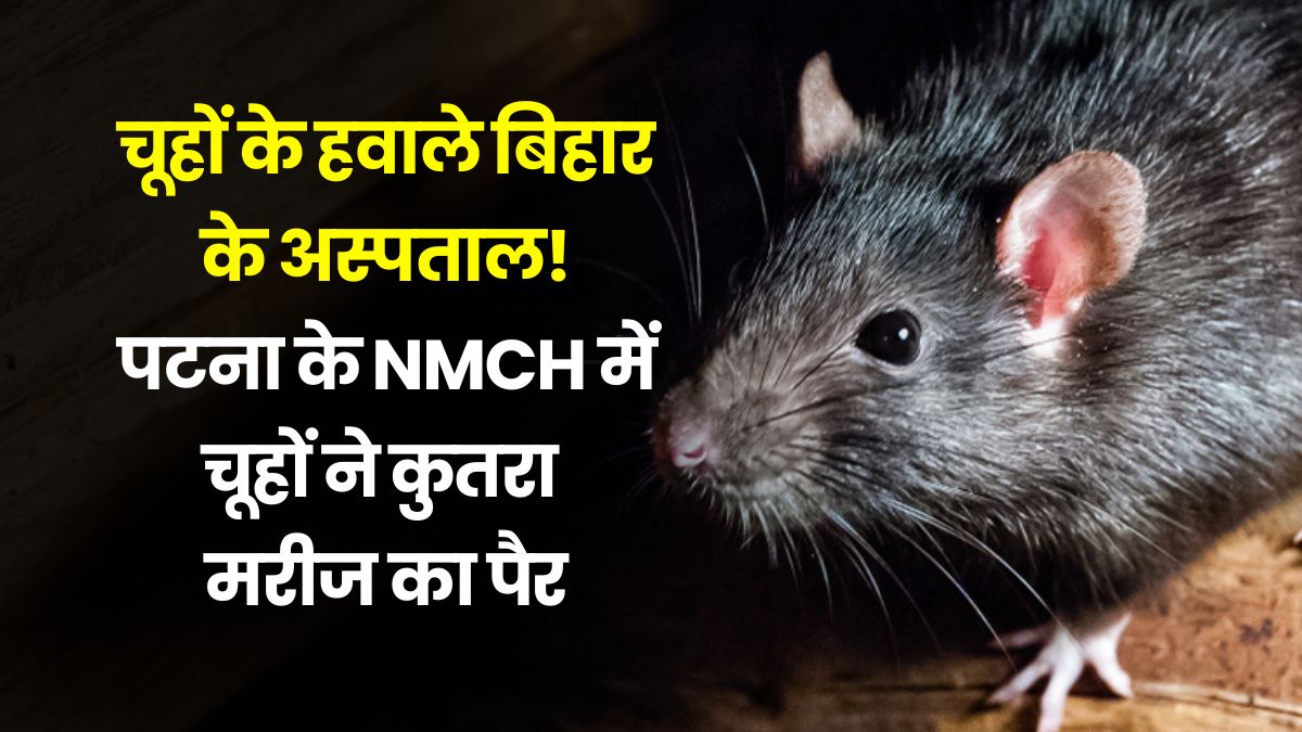 rat-bites-patient-in-nmch-patna-bihar