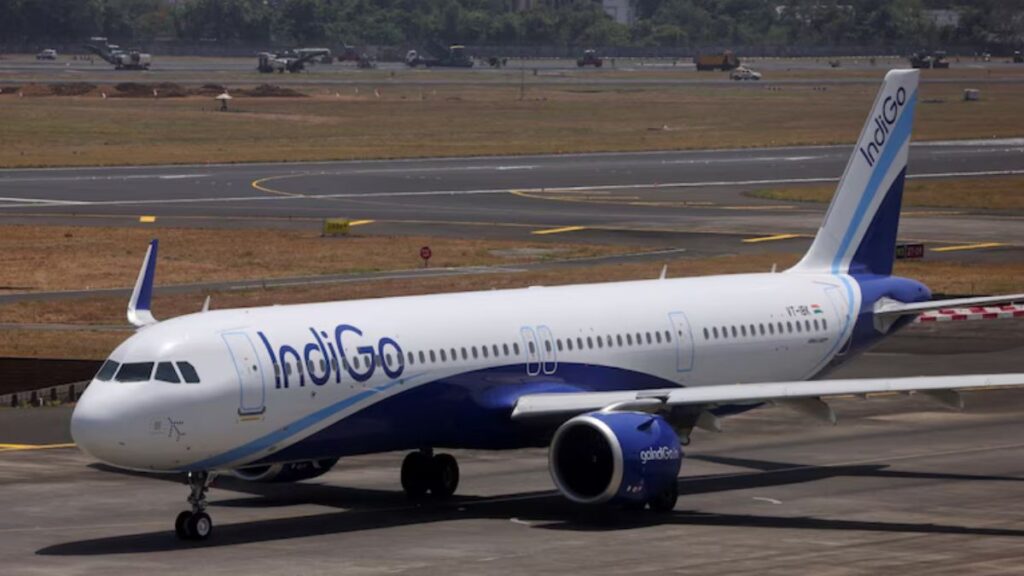 Indigo