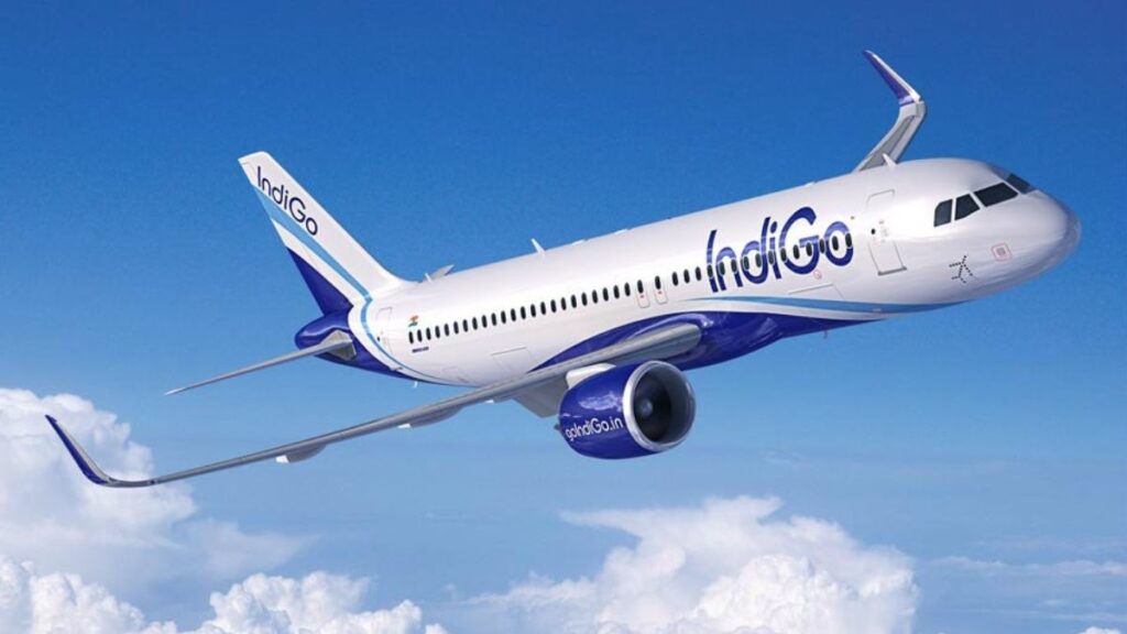 Indigo