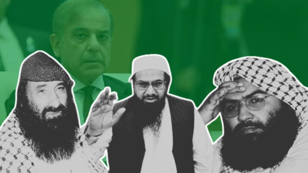 Pakistan Terrorist