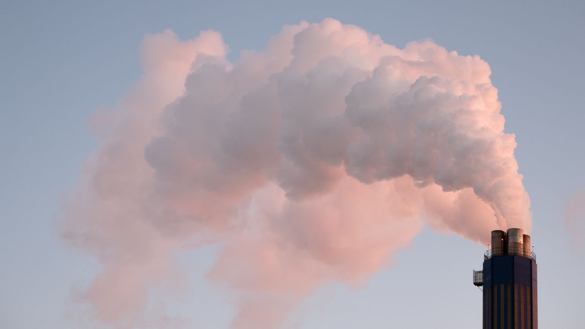 Environment Day 2025: आज के युग में पर्यावरण और जलवायु परिवर्तन की स्थिति: एक विचार!
