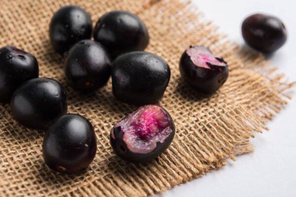 Foods to Avoid with Jamun: जामुन के साथ ये 5 चीजें खाना हो सकता है खतरनाक! सेहत को पहुंचा सकता है नुकसान foods-to-avoid-with-jamun-health-risks