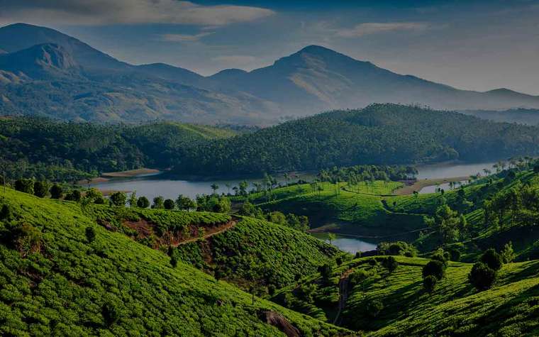 Monsoon