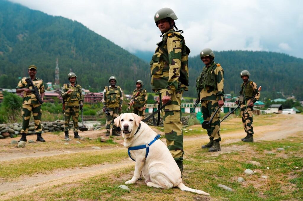 BSF Constable Tradesman