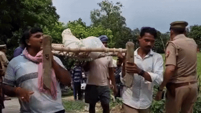 Ghazipur Triple Murder Son Kills Mother, Father and Sister