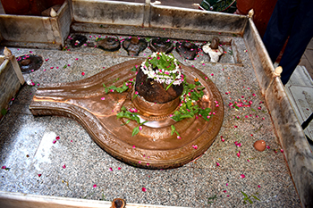 Nageshwar Jyotirlinga Varanasi in Mrityunjay Mahadev Temple