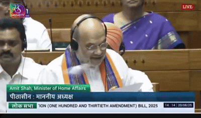 Lok Sabha Amit Shah