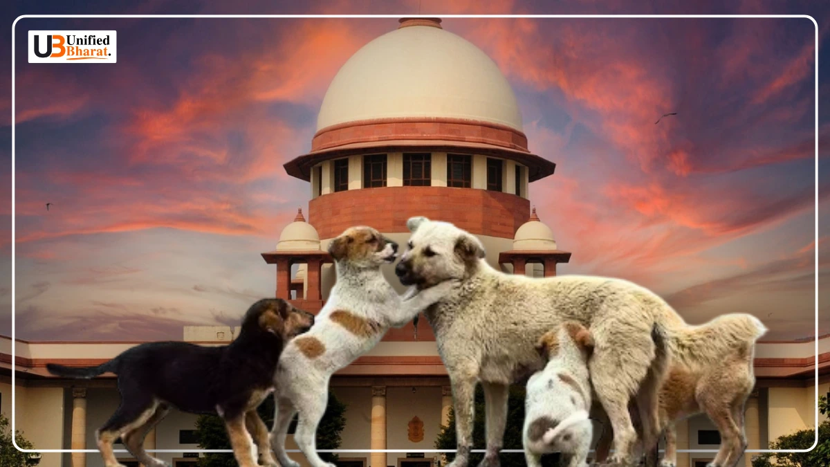 Supreme Court hearing on stray dogs in Delhi-NCR