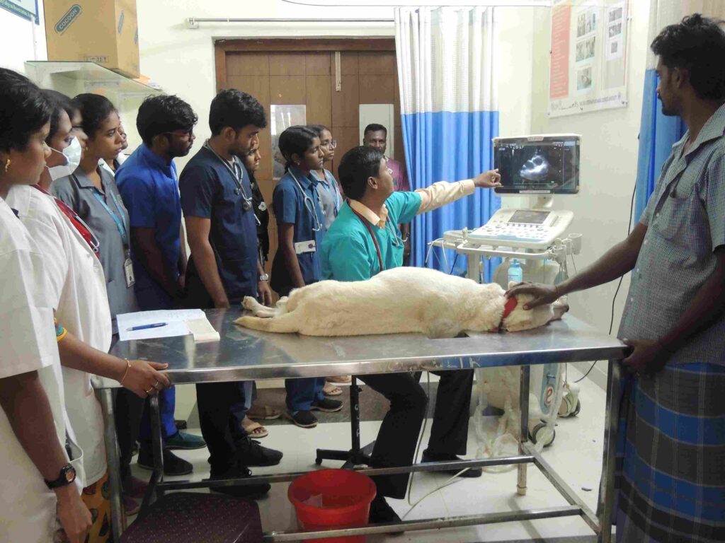 RPSC Veterinary Officer