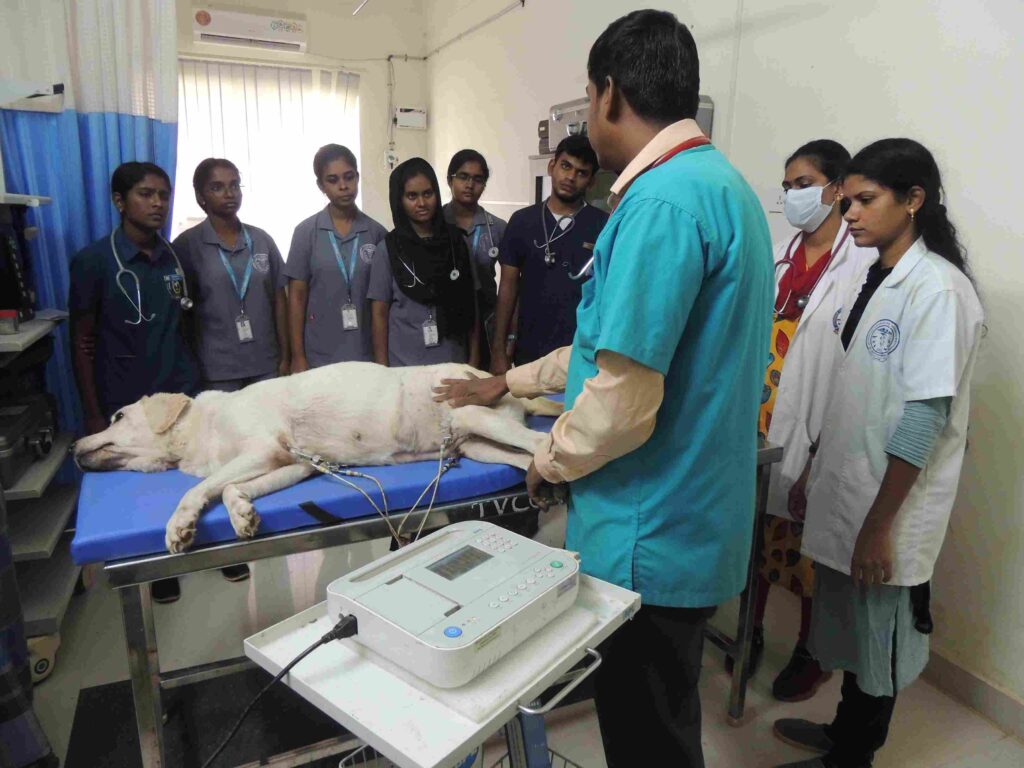 RPSC Veterinary Officer